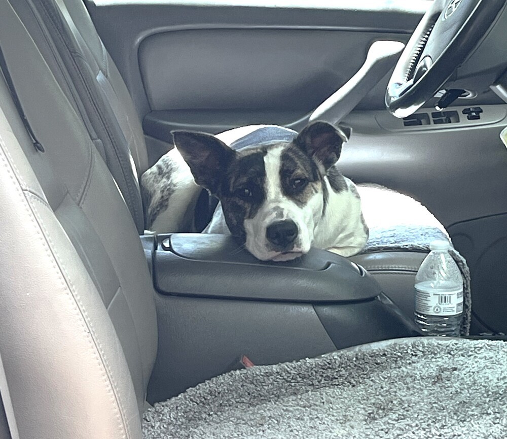 Winnie