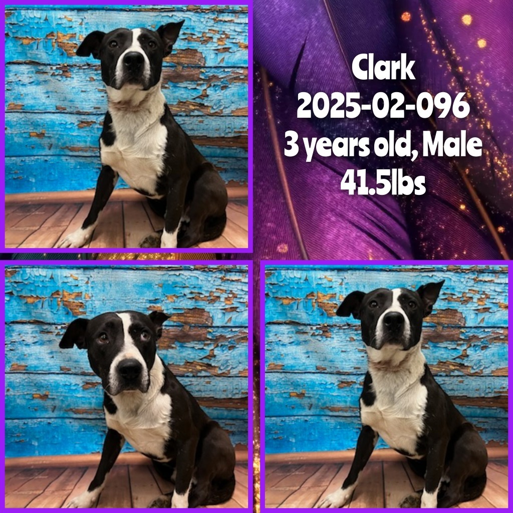 2025-02-096 *Clark*