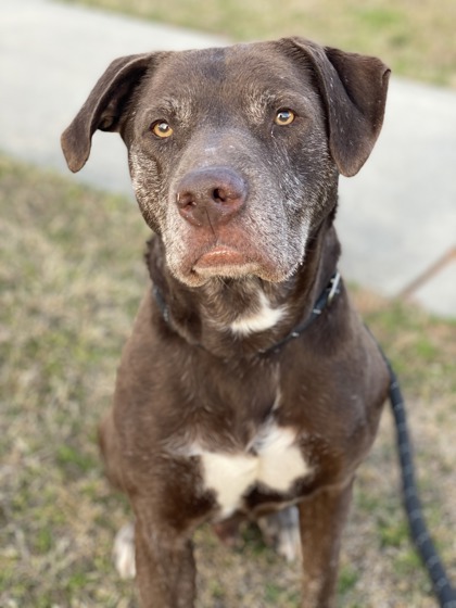 Phill - IN FOSTER 1