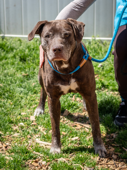 Phill - IN FOSTER 3