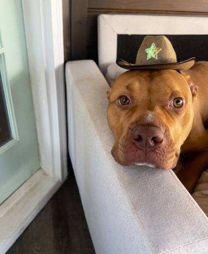 Cowboy 2