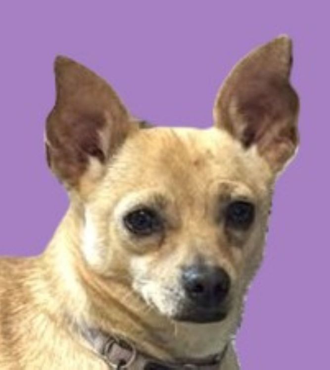 Ori