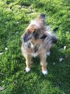 Abby photo 4