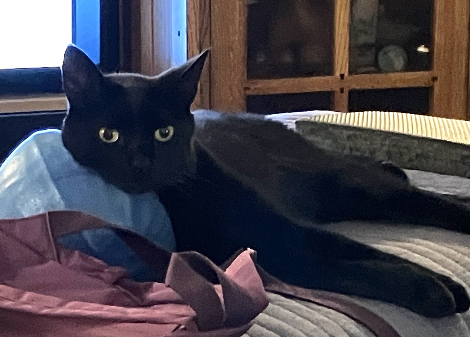 Shadow