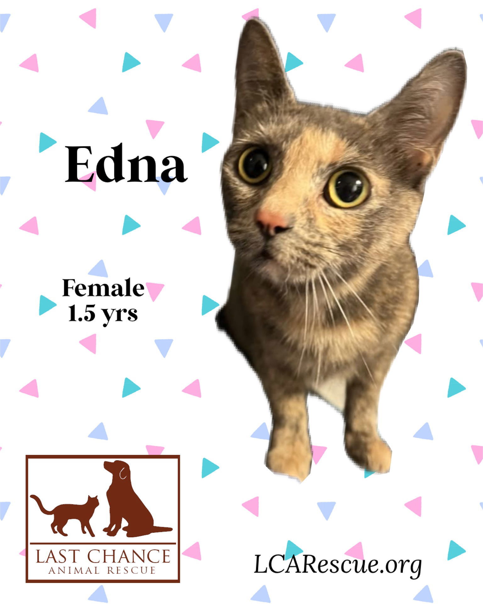 EDNA