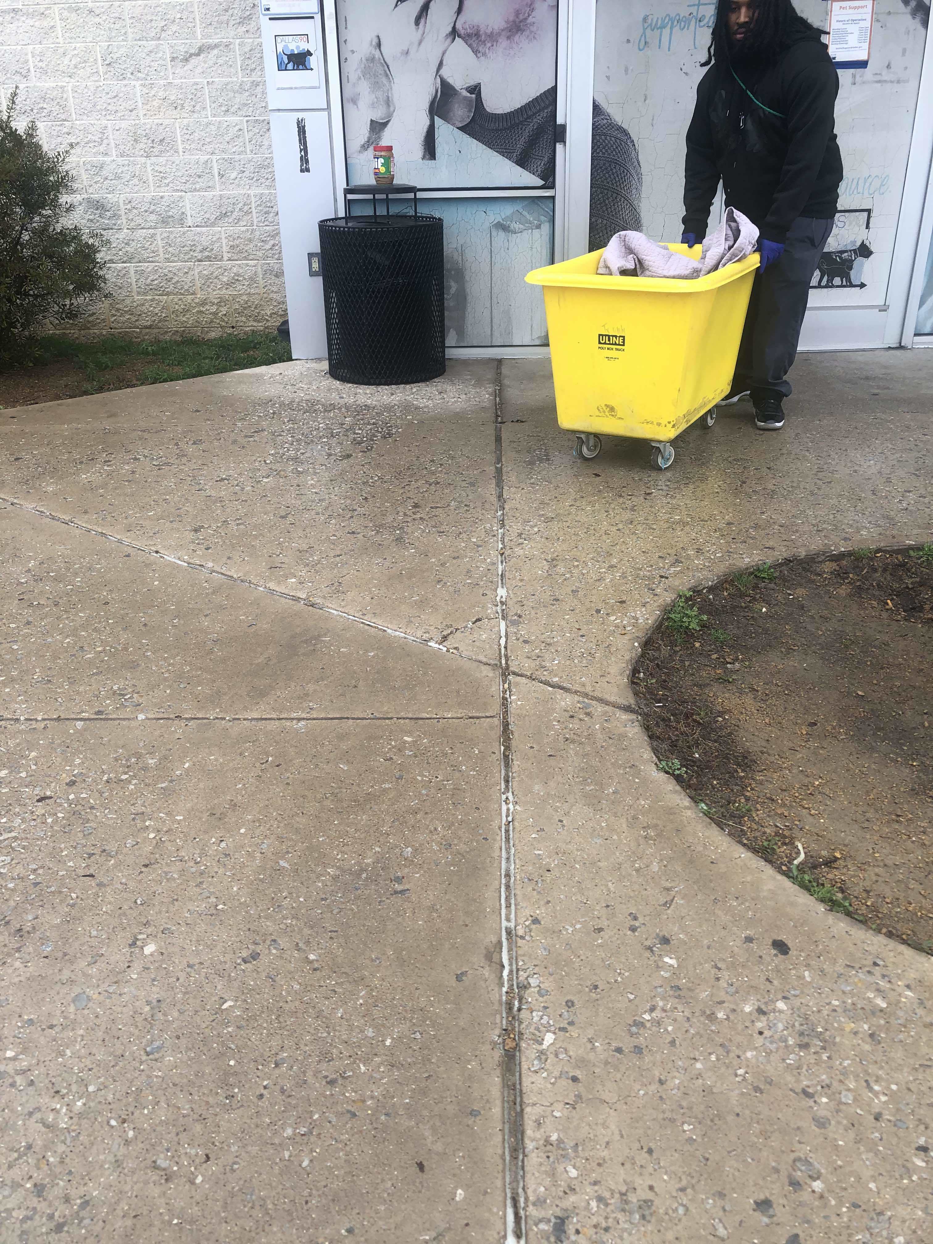 Apollo 2, an adoptable Pit Bull Terrier, American Staffordshire Terrier in Arlee, MT, 59821 | Photo Image 5