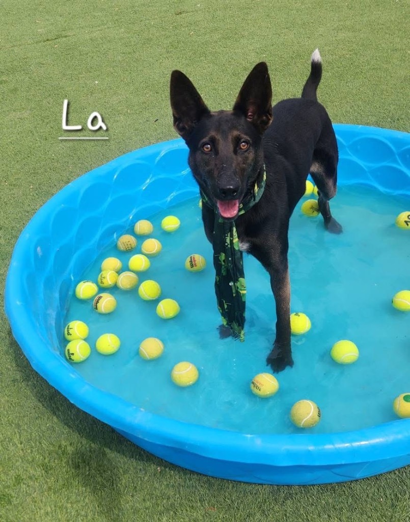 La