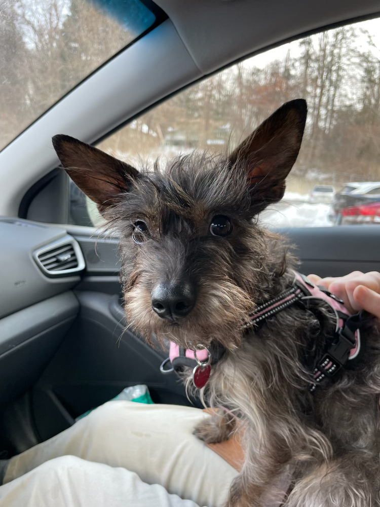 Carly aka Frankie