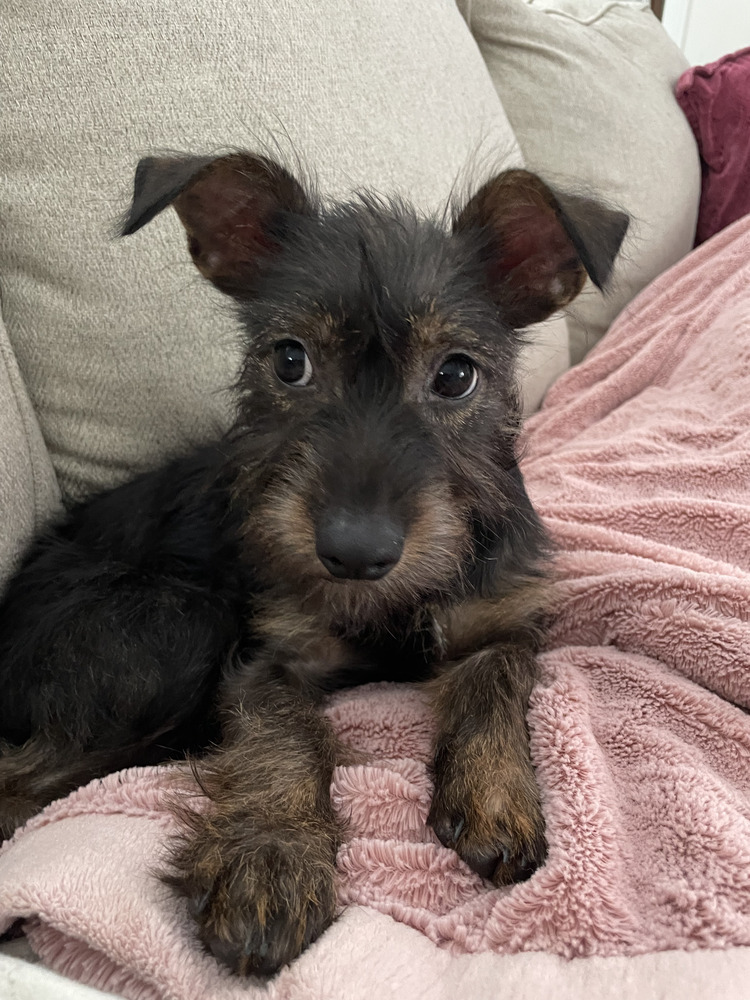 Carly aka Frankie
