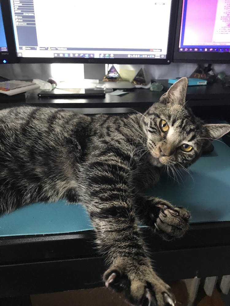 Sweethearts Monkey & Banana