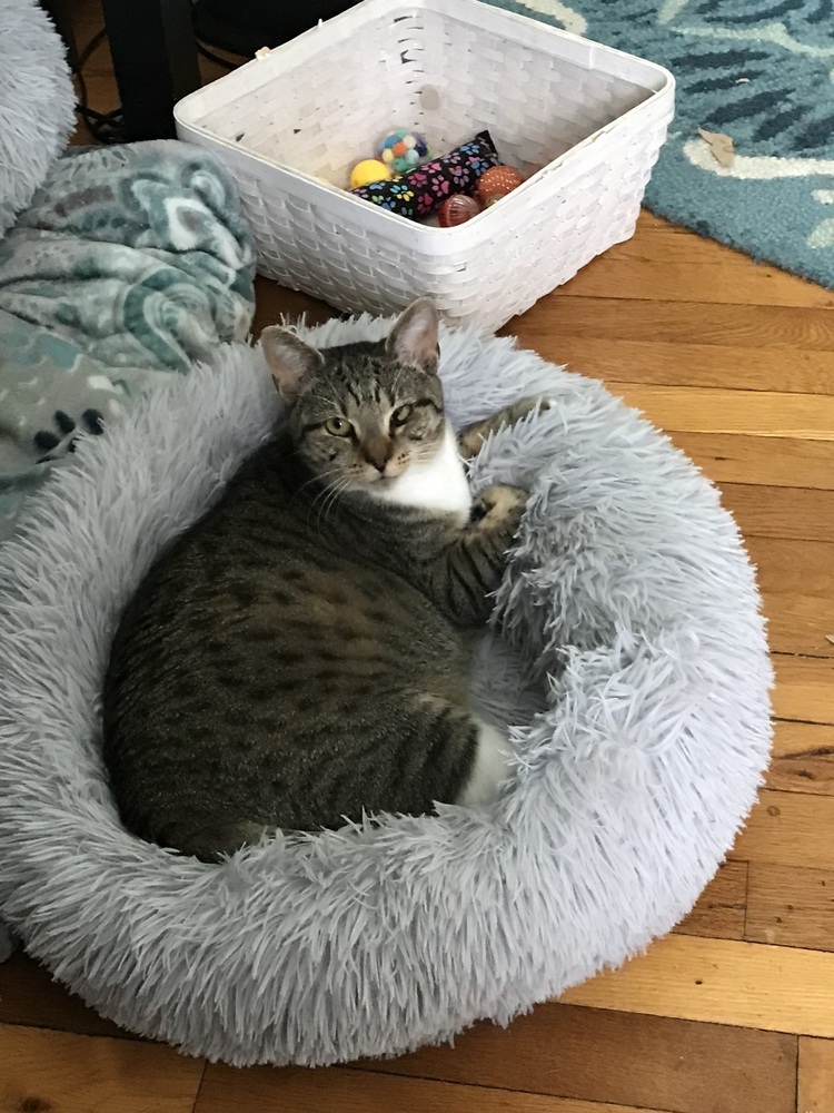 Sweethearts Monkey & Banana