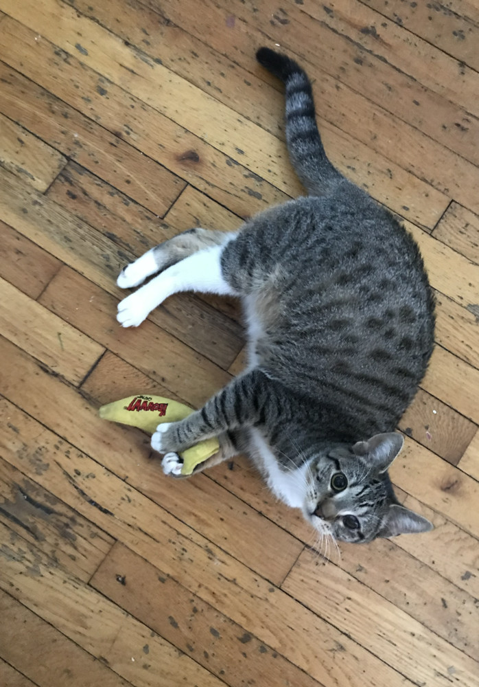 Sweethearts Monkey & Banana