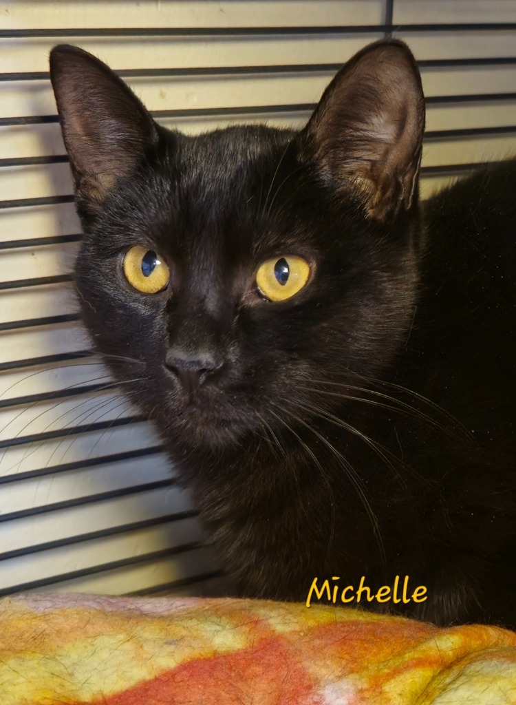 Michelle