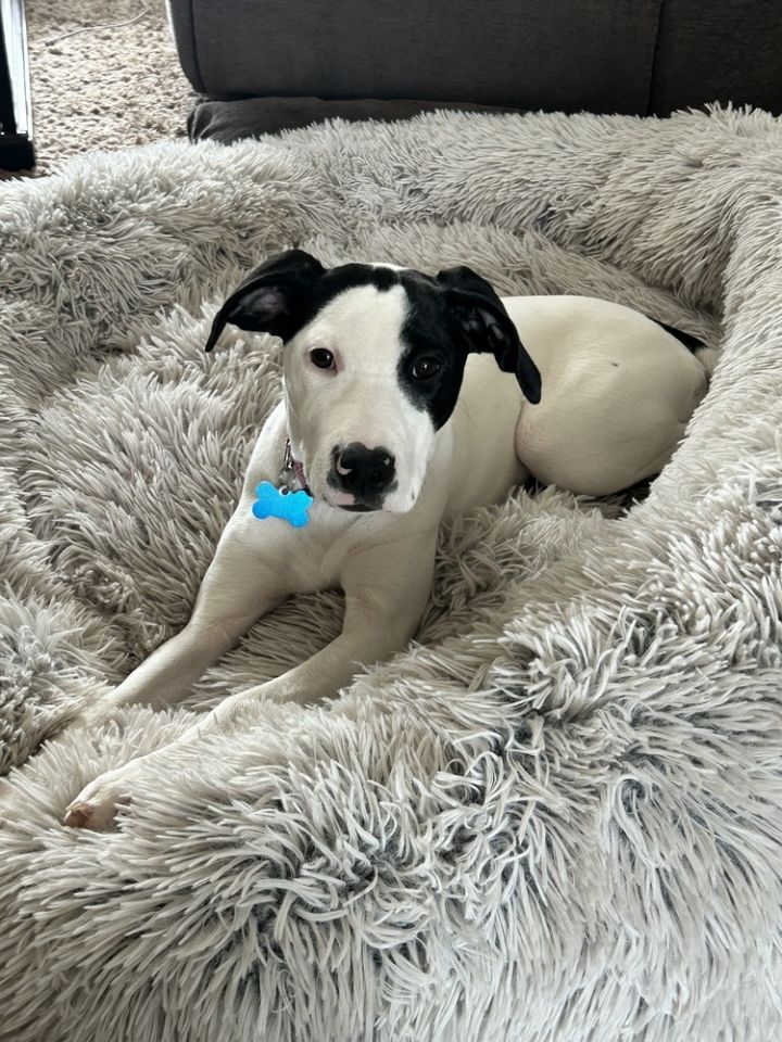 Marley 3