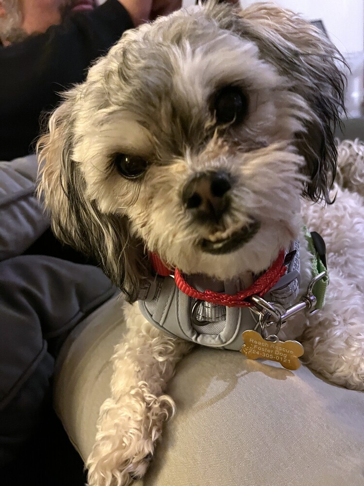Jada