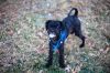 Milo S~ photo 1