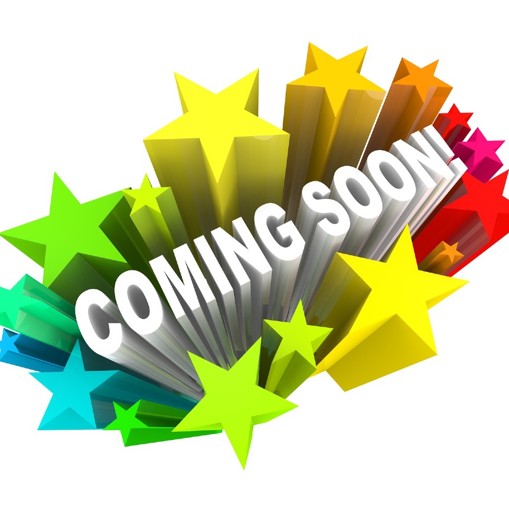 PRINCESS LEIA, an adoptable Labrador Retriever, Foxhound in QUINCY, FL, 32351 | Photo Image 2