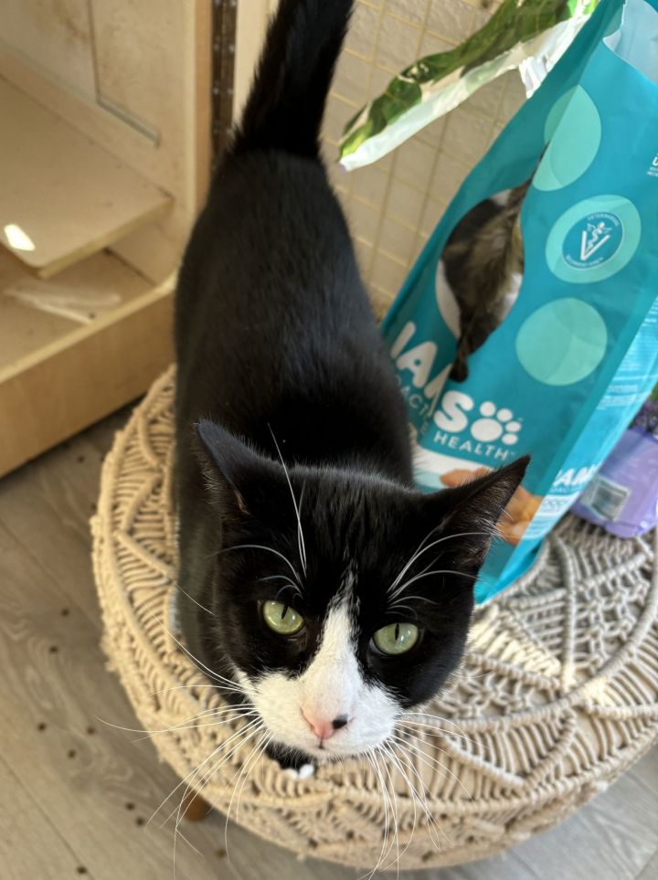 Boots ( NAPA Petco GD) 4
