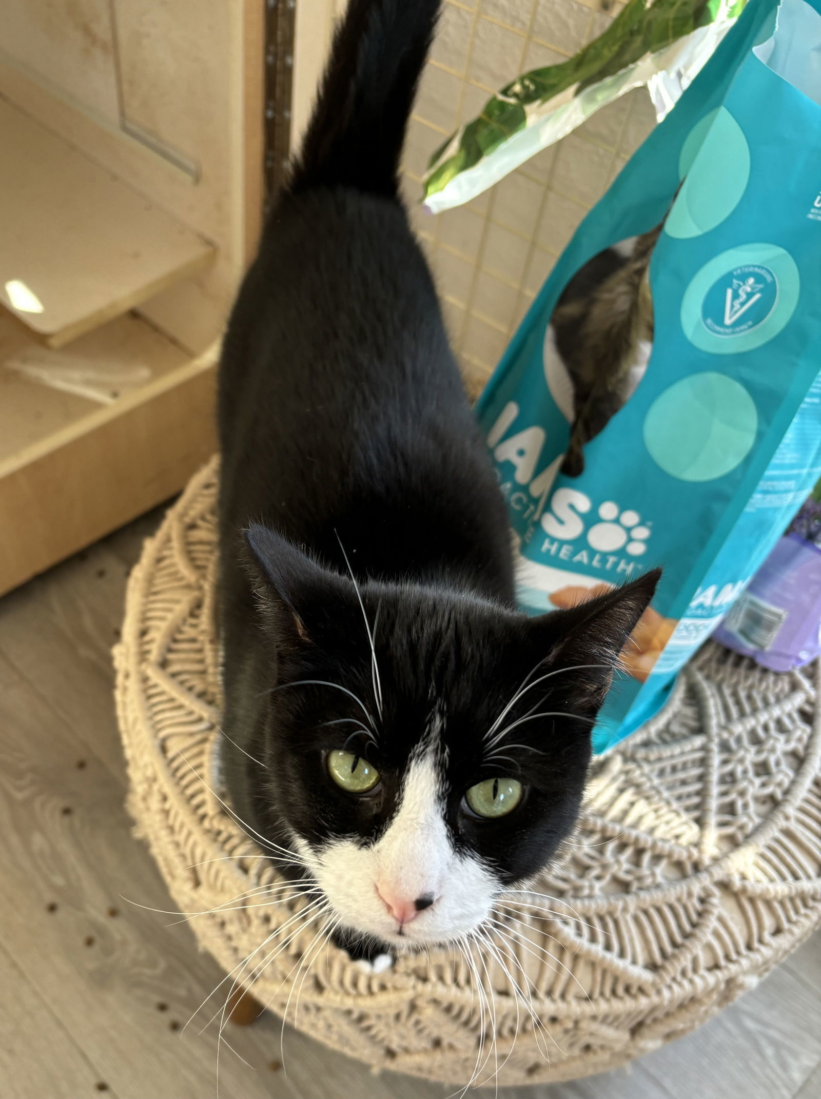 Boots ( NAPA Petco GD)