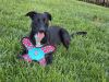 Sadie photo 3