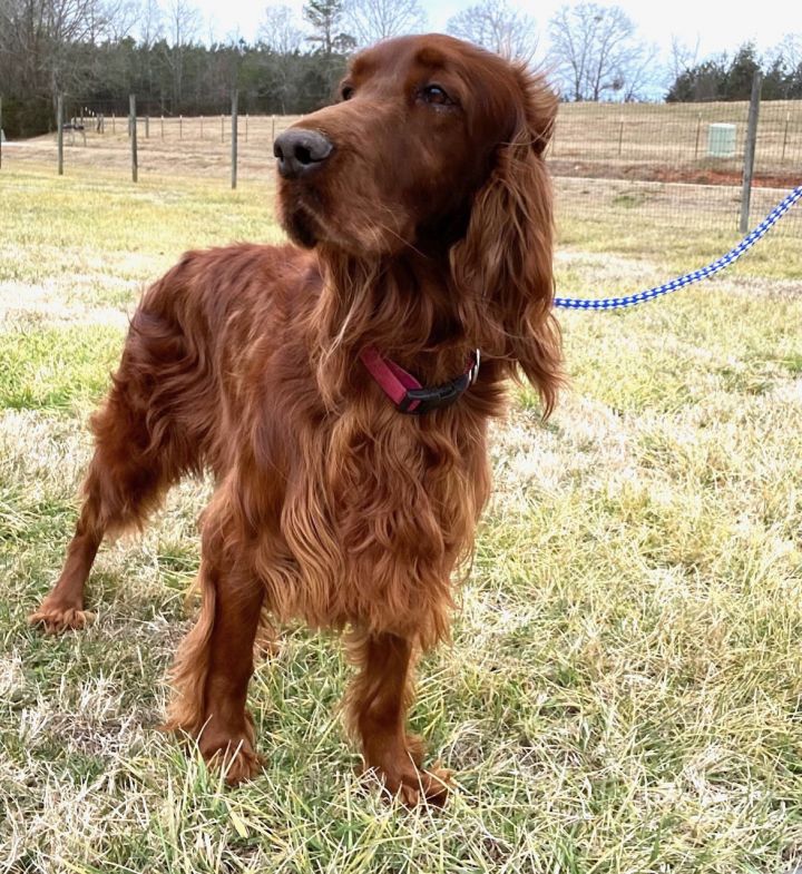 Cassie Jan 25 2