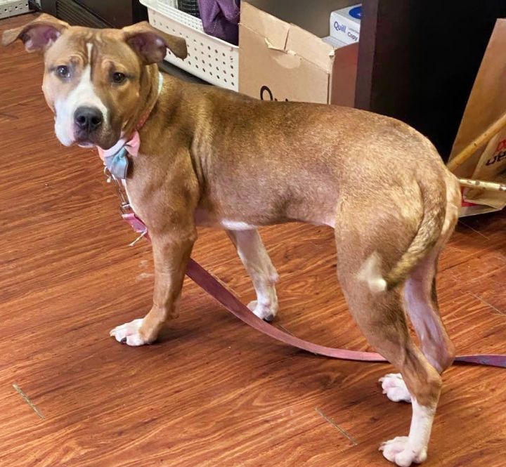 Esme Vacation Foster Needed 4/4-4/9 3