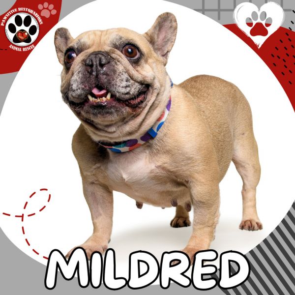 Mildred
