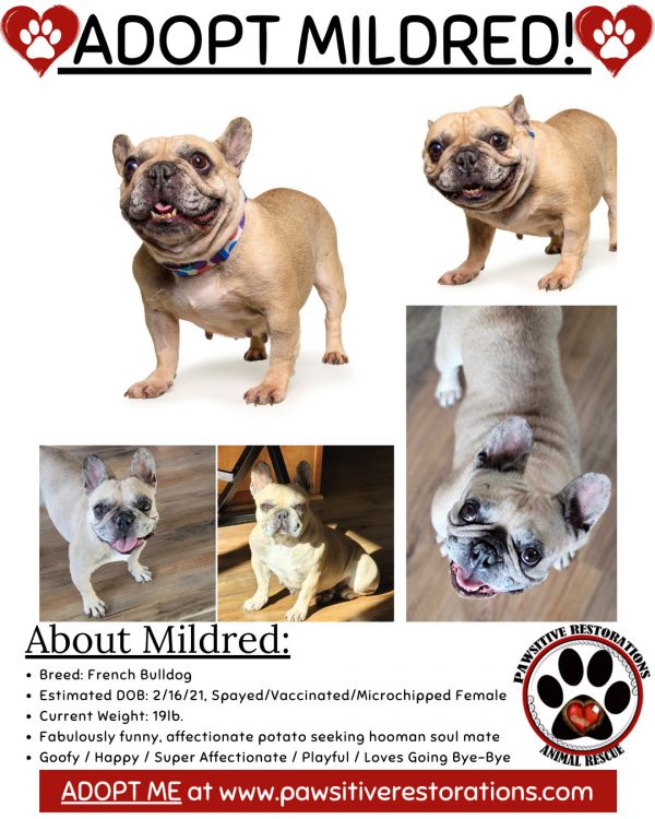 Mildred thumbnail 2