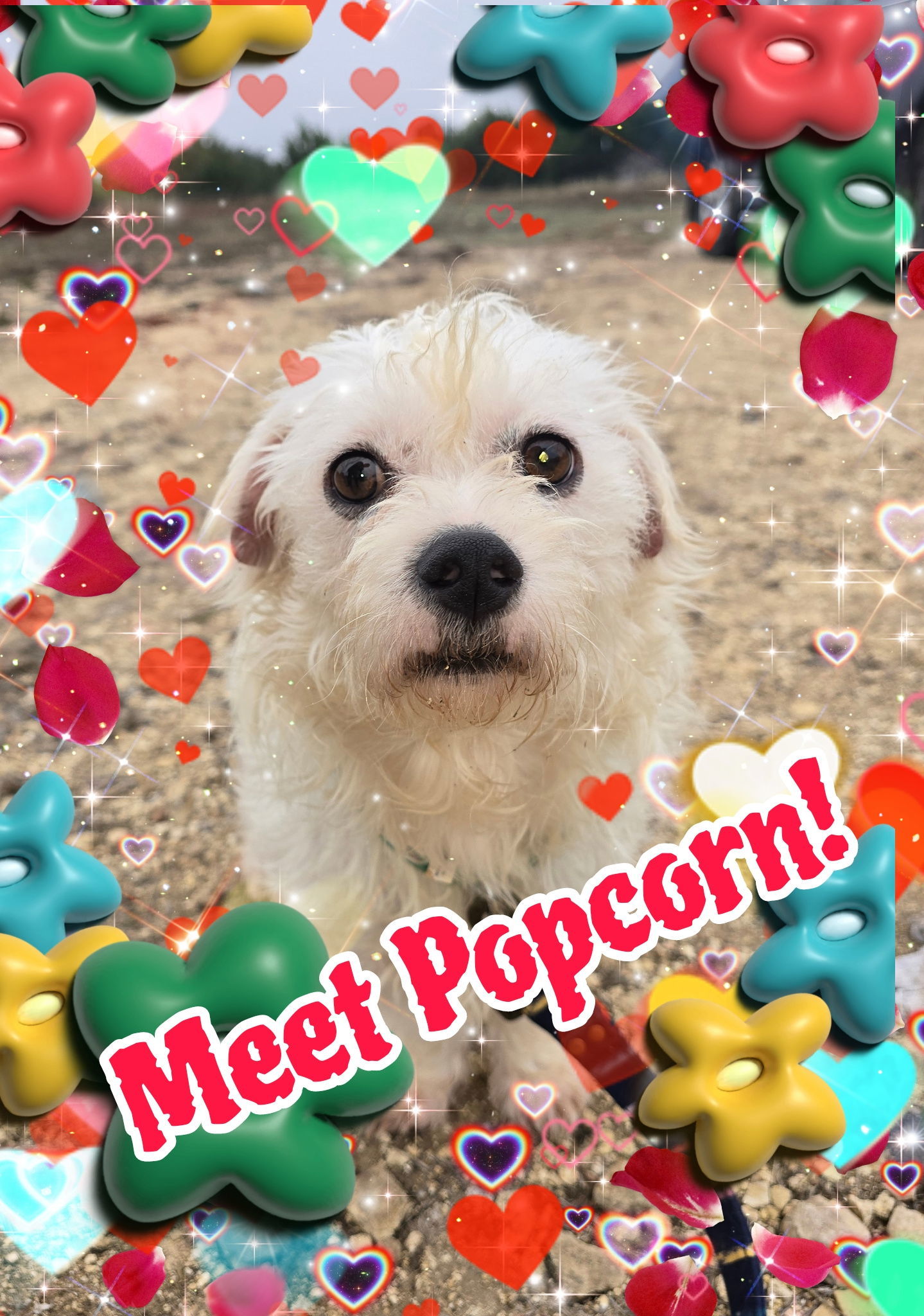 Popcorn