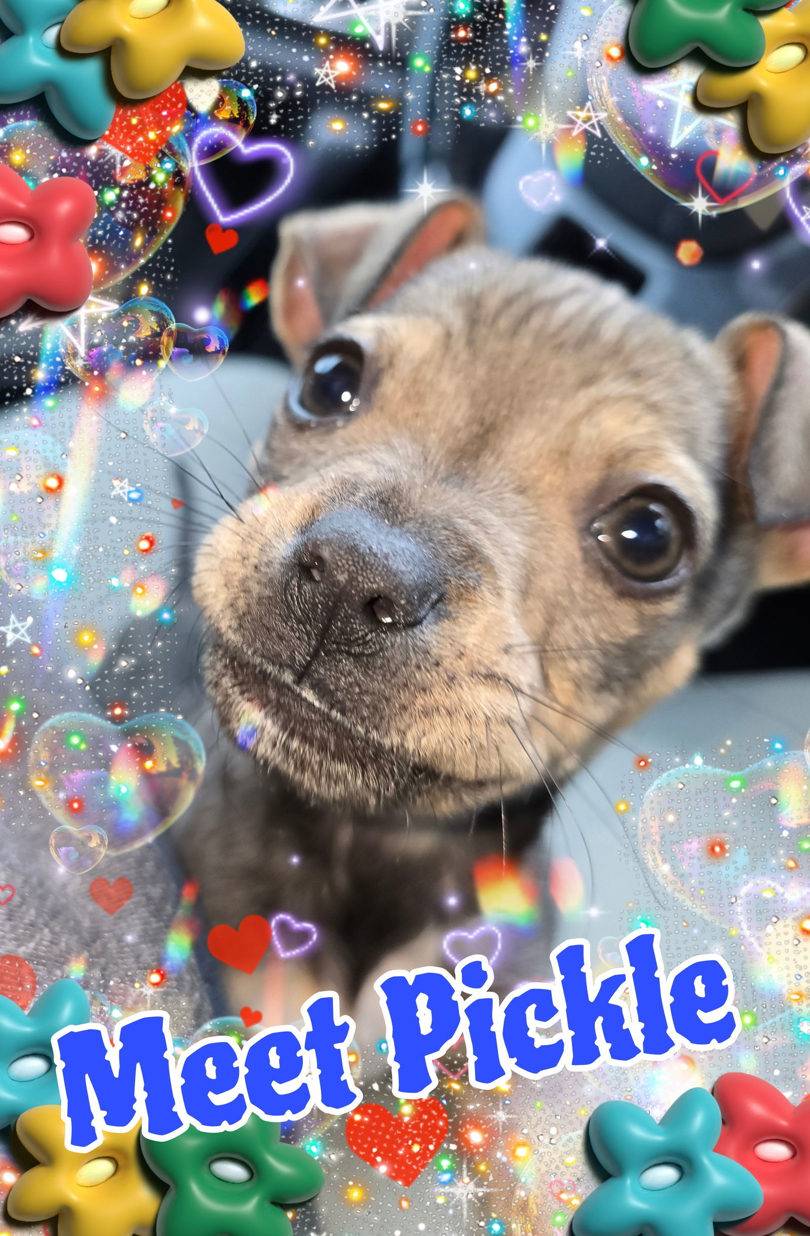 Pickle