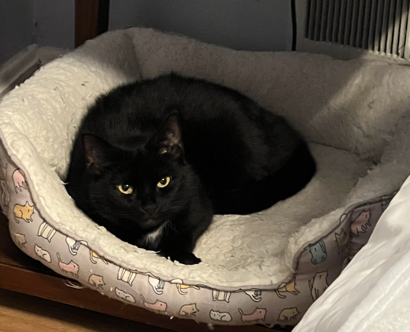 Coco