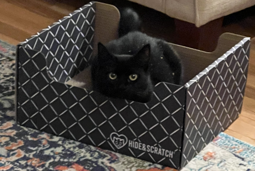Coco