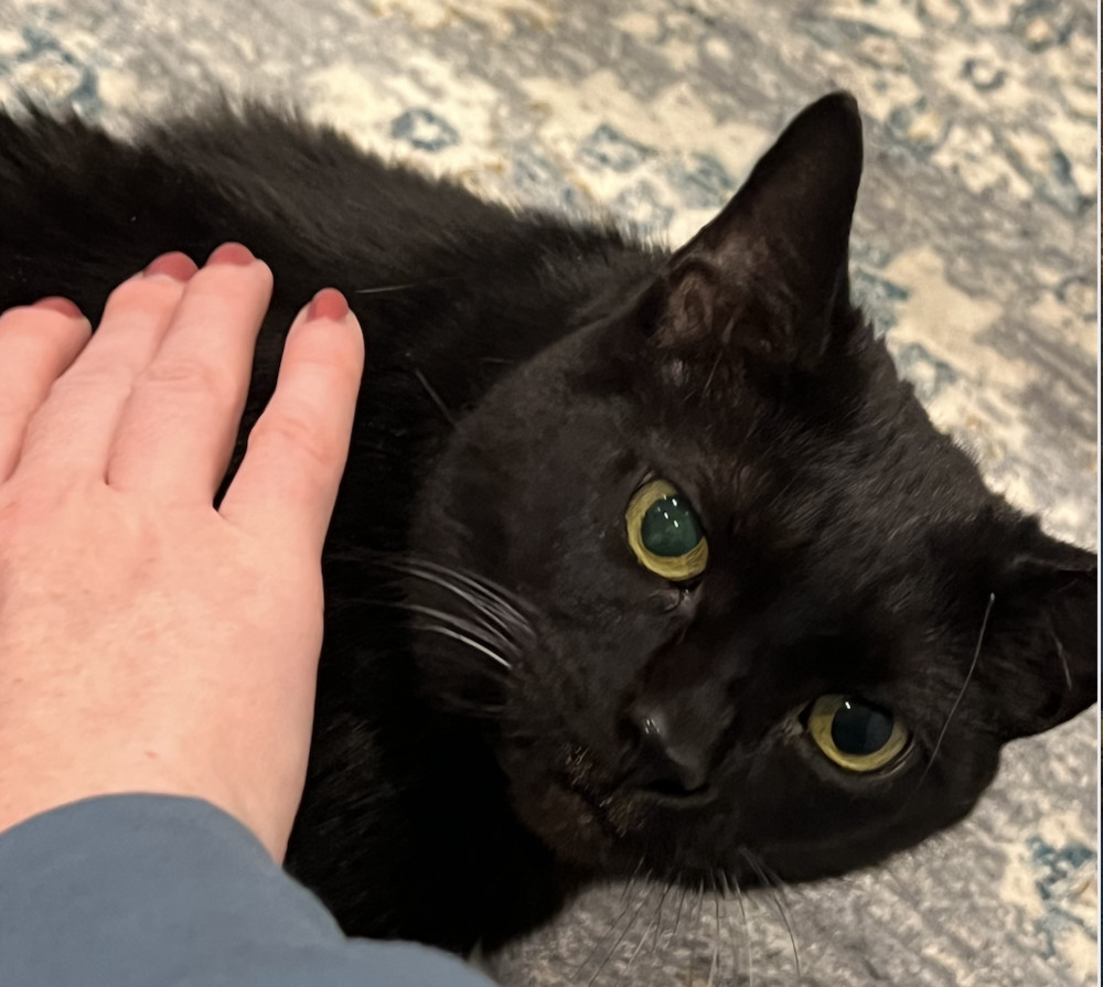 Pepper