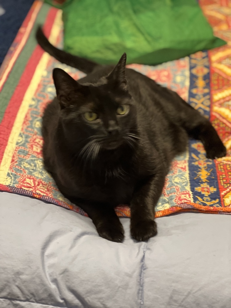 Pepper