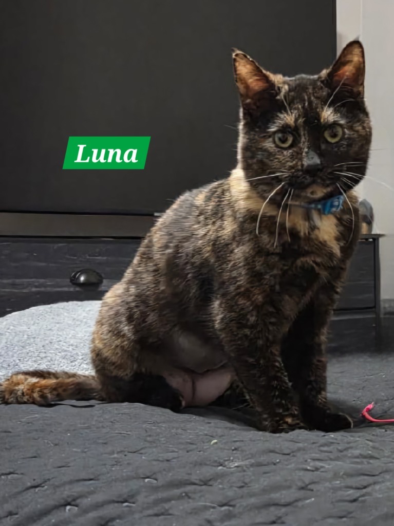 Luna