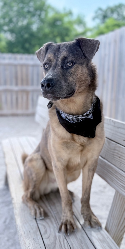 Zuko
