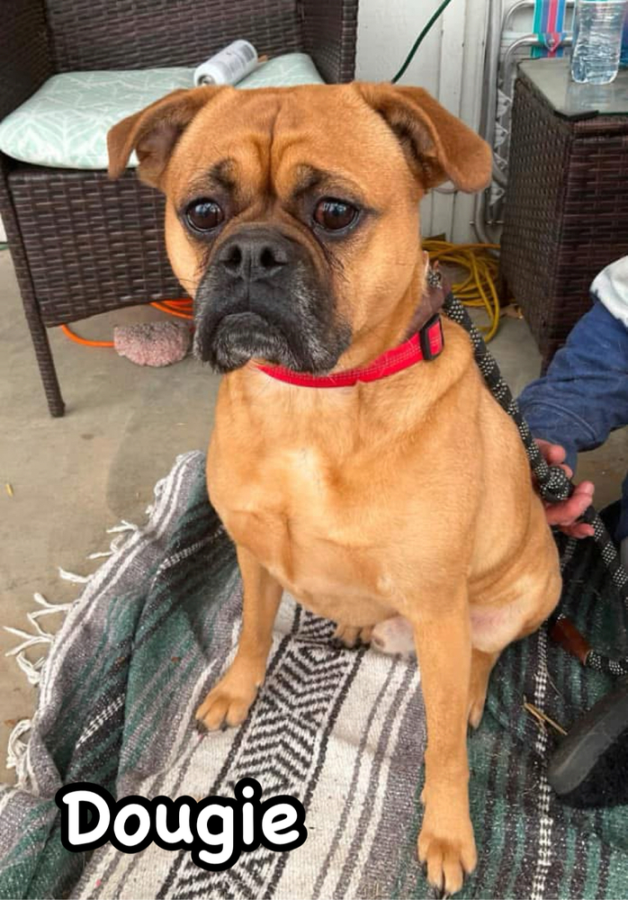 Dougie