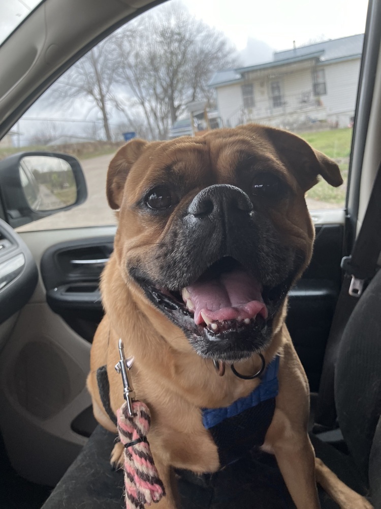 Dougie
