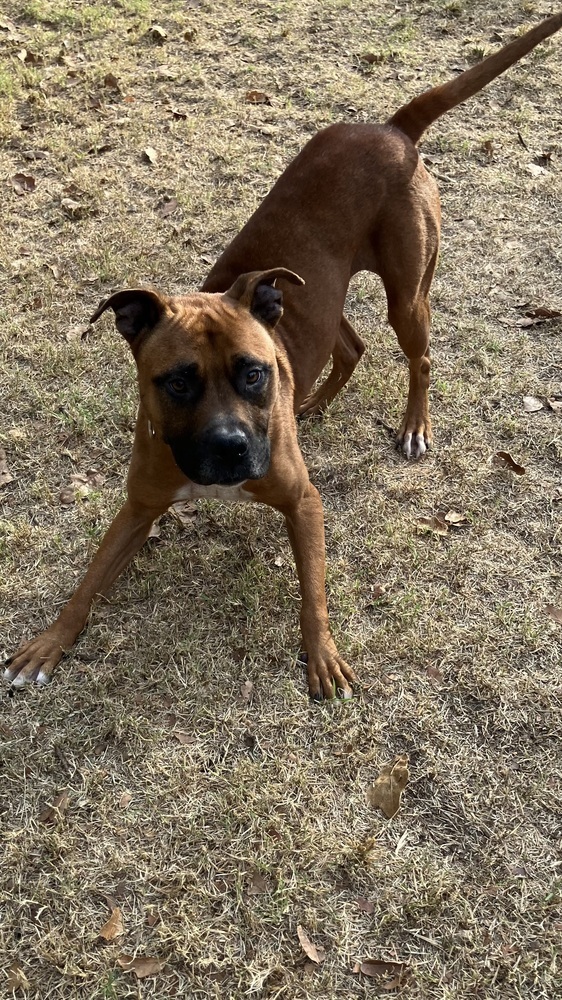 Lexi