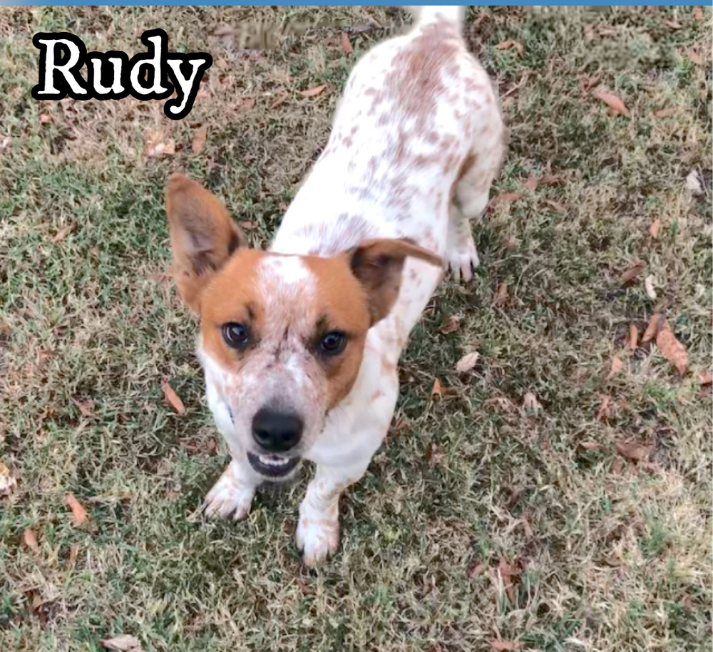 Remi (Chino/Rudy)