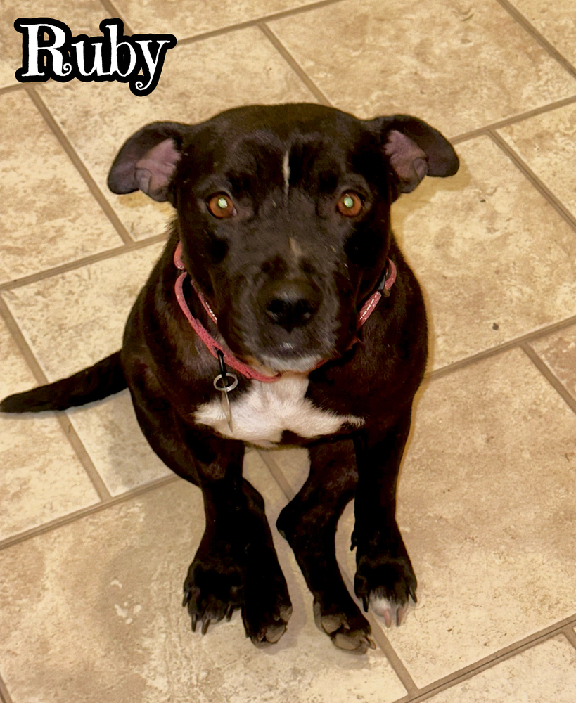 Ruby