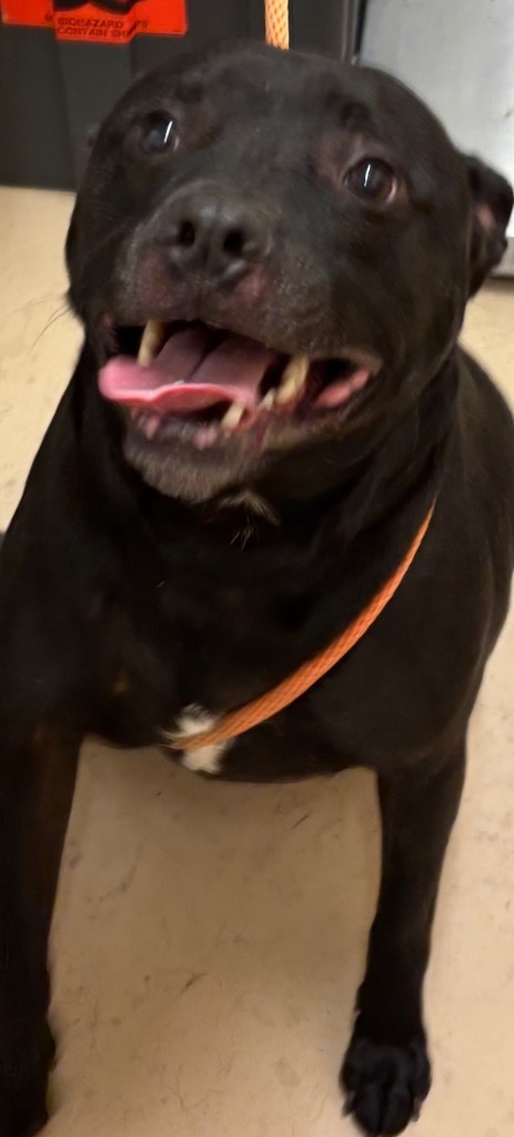ONYX