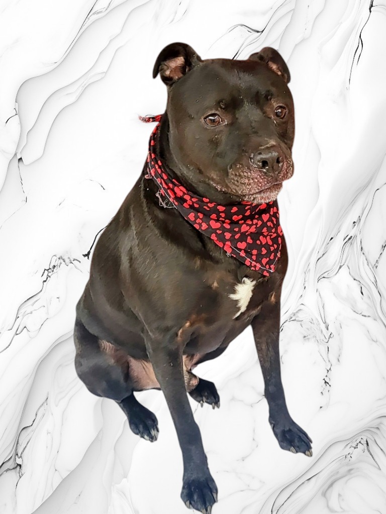 ONYX