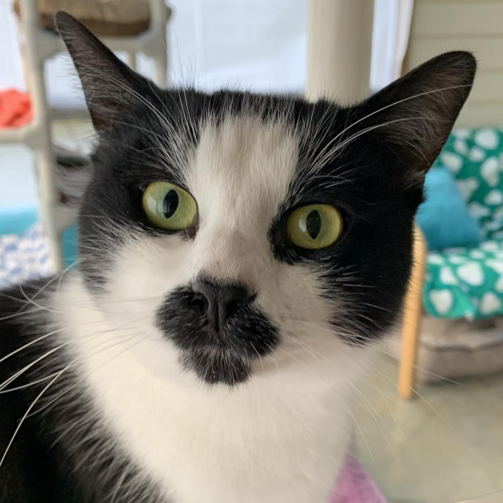 Kiki