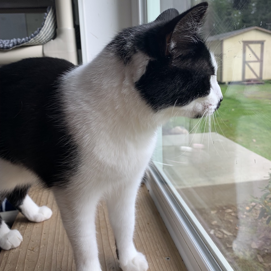 Kiki
