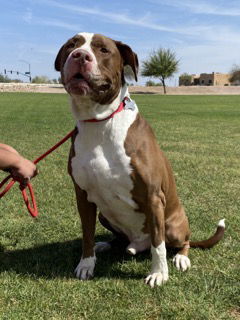 BUBBA