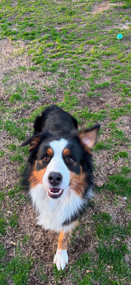 Remi