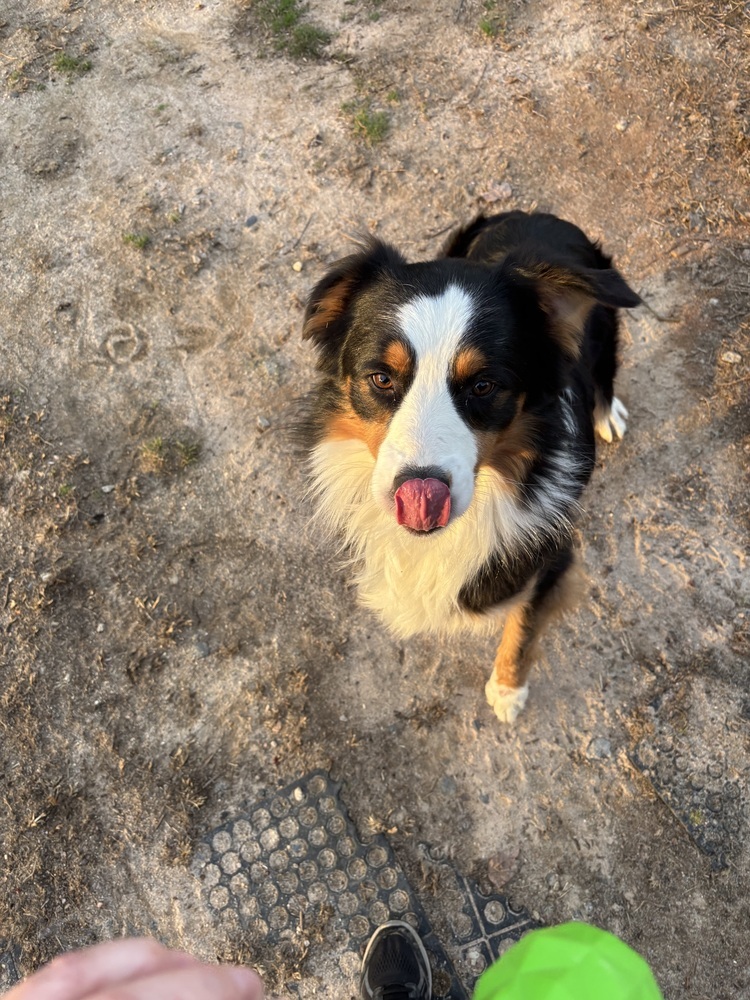 Remi
