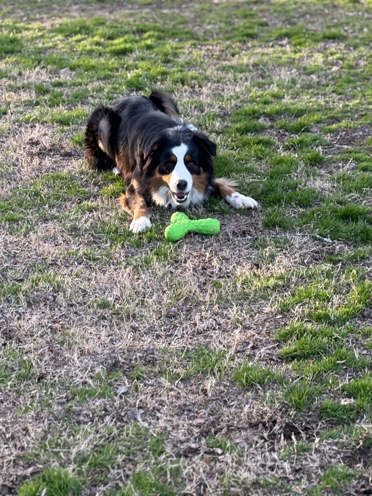 Remi
