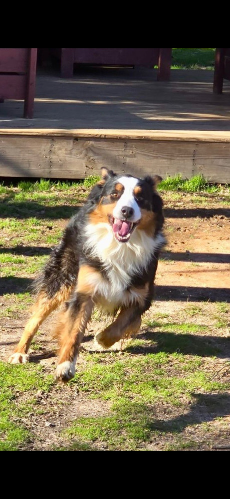 Remi